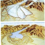 GLACIAZIONI COLLINE