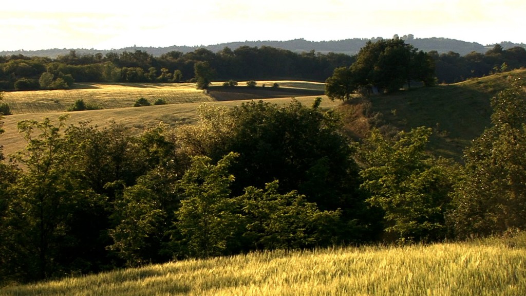 colline_moreniche_6